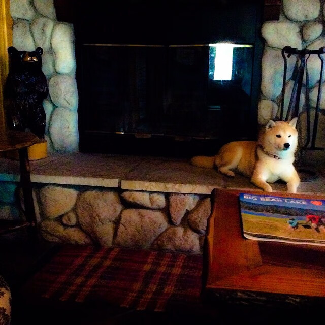 _光影滑板表演:用速度点燃视觉盛宴_,第102集_滑板时光