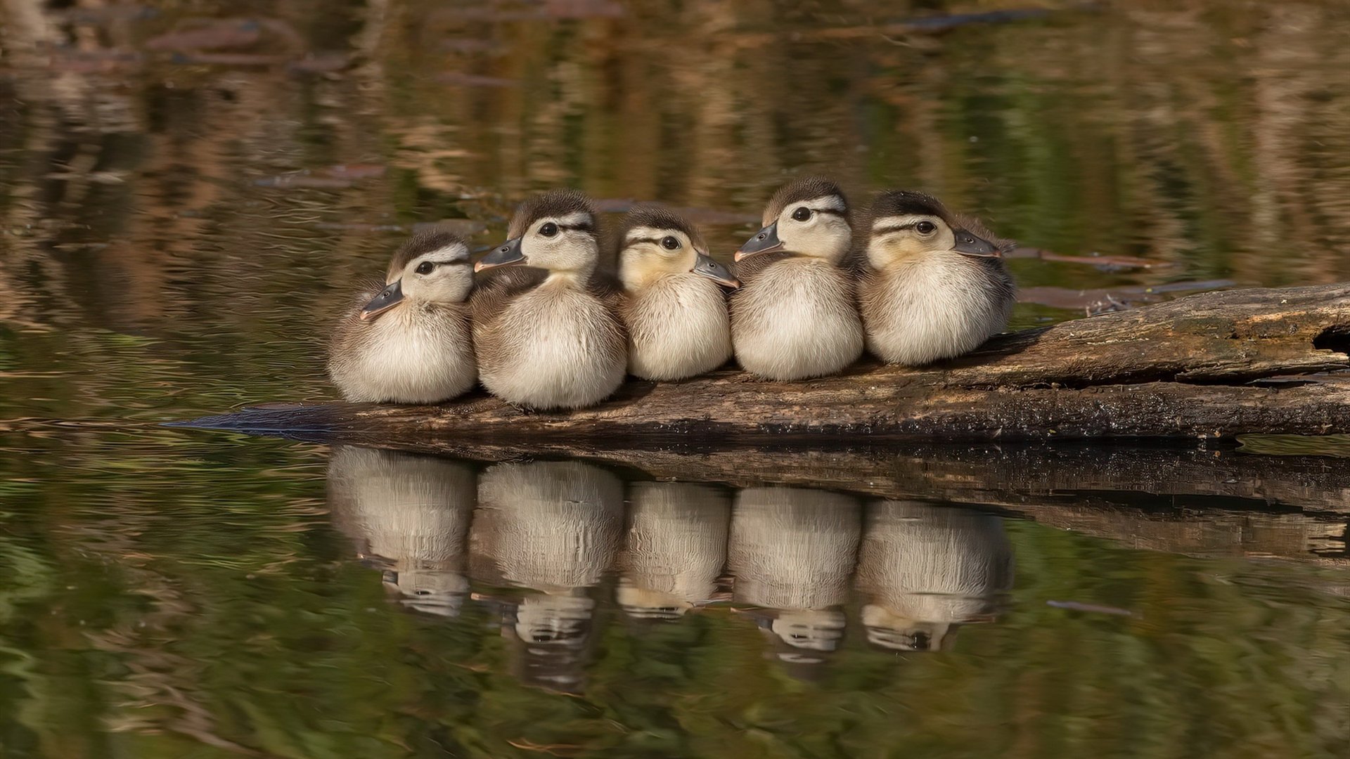 _硬地、草地、红土:不同场地对运动员的考验_,红土草地硬地网球一样吗