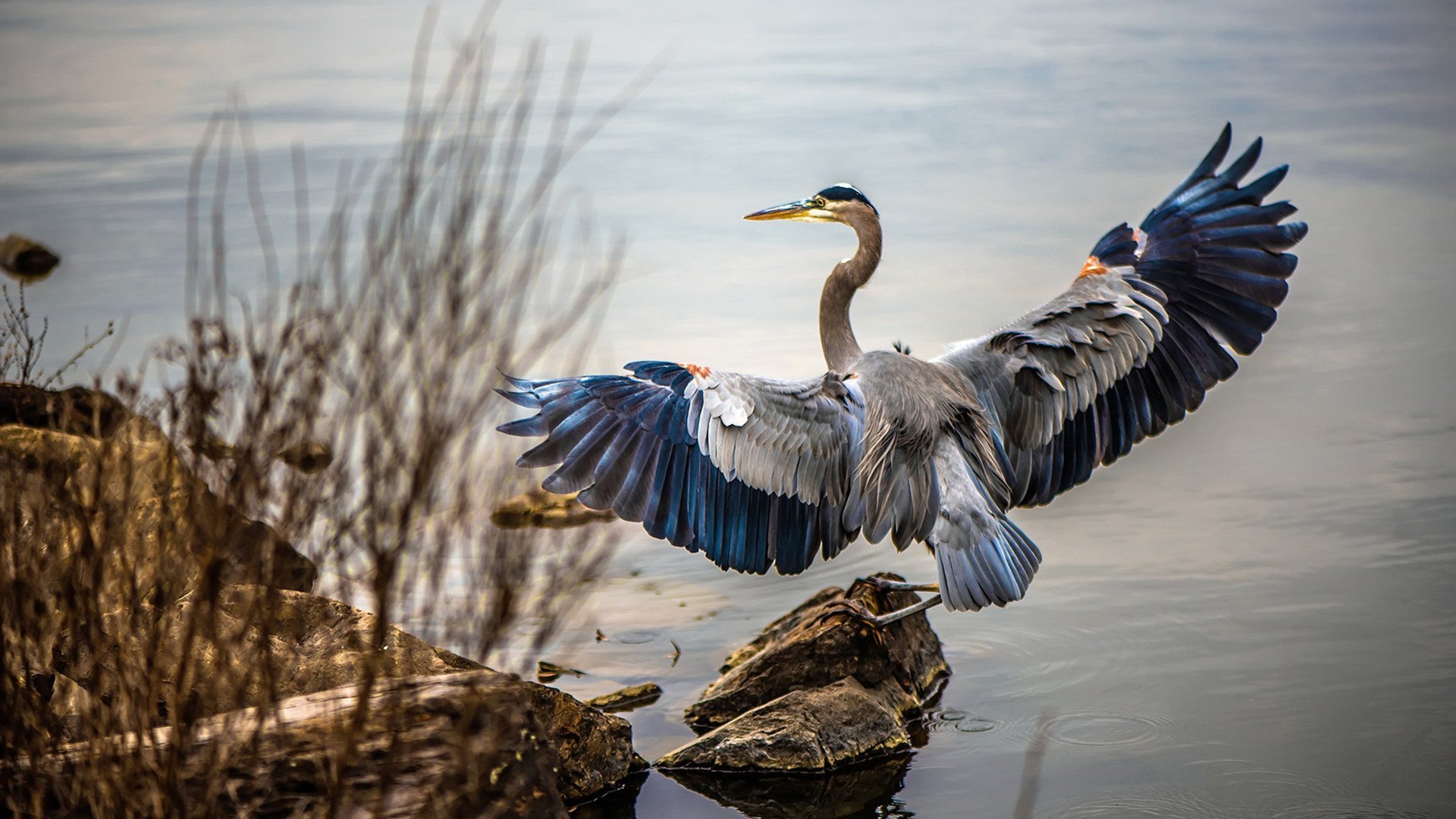主帅亲承：西班牙未来仍值得期待，西班牙2027年