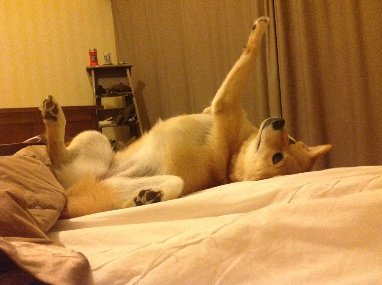 _青少年极限滑板:挑战自我,青春无限_,极限青春滑板动作名称