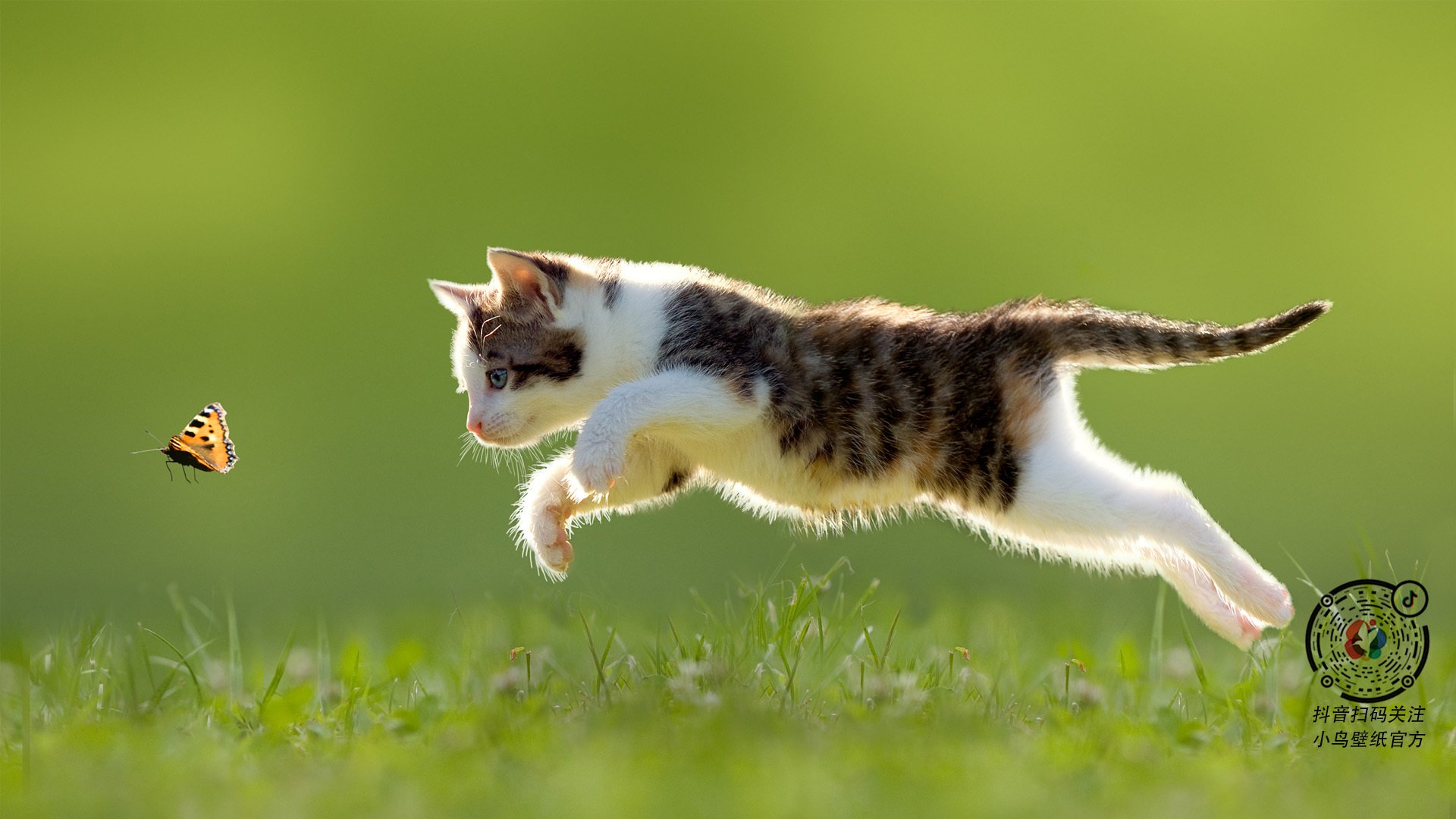 “法甲争冠集团激烈角逐,悬念持续升级”,法甲冠军数排名