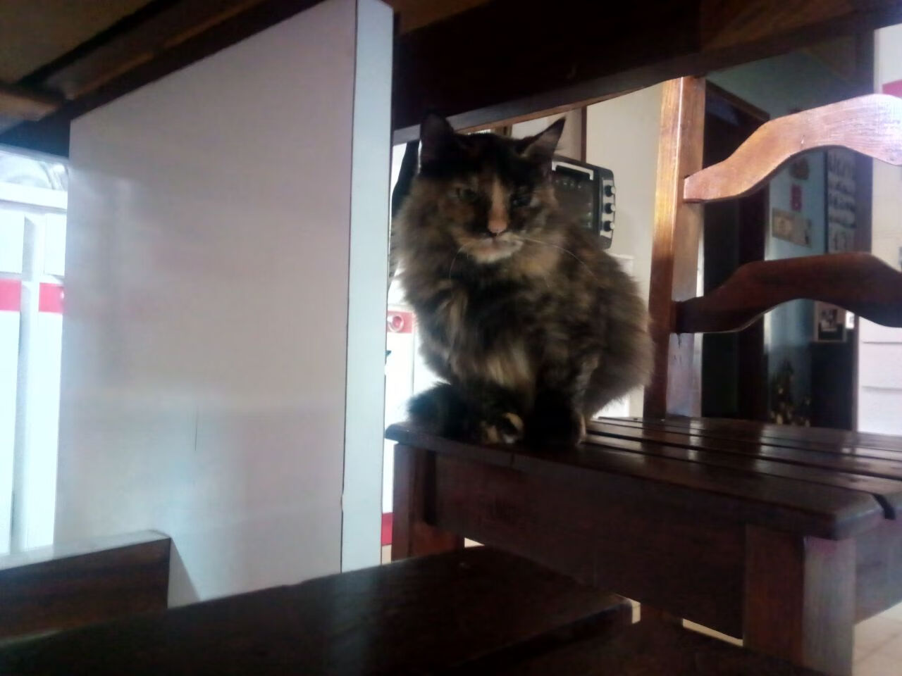 Jiu You-“逆转巅峰：最令人振奋的比赛逆转瞬间”，逆转2021