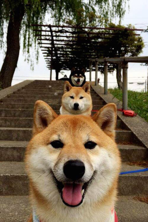 九游游戏中心官网-【冠军秘诀】奥沙利文的训练日常，细节决定成败，奥沙利文的陪练