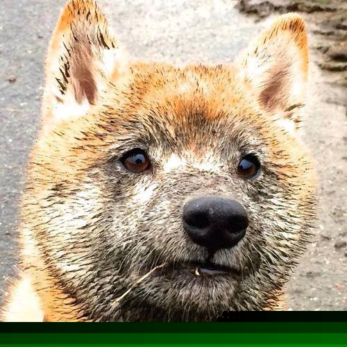 九游网页版入口-【规则深度解读】最新犯规与罚分变化解析，运动员该如何应对？